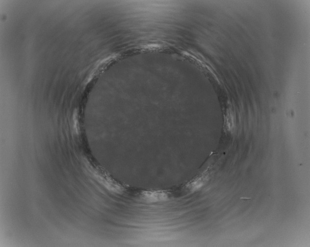 X0000071900520200607281806