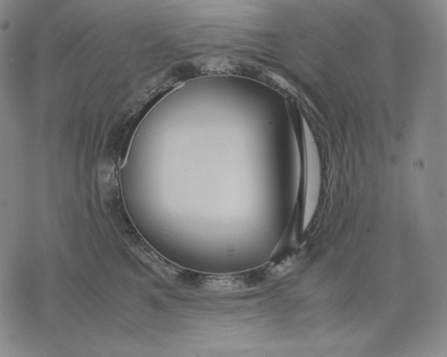 X0000071900521200607281806