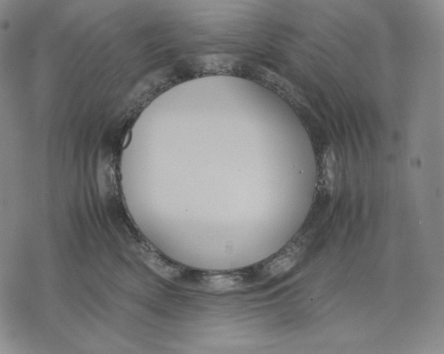 X0000071900522200607281806