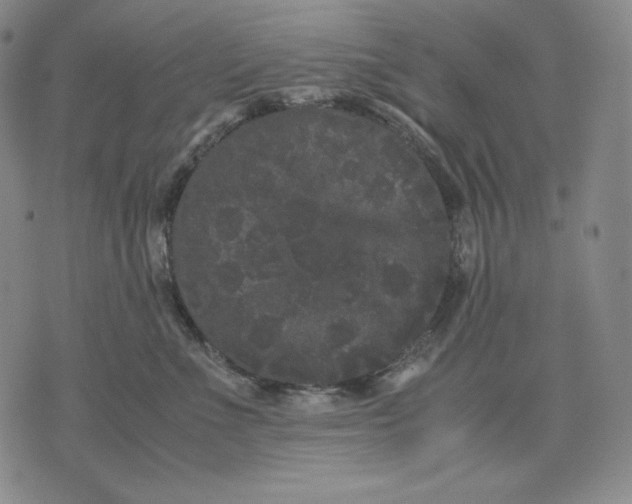 X0000071900523200607281806