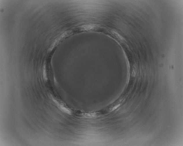 X0000071900524200607281806