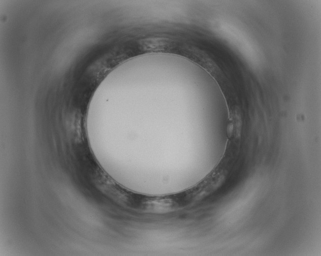 X0000071900525200607281806