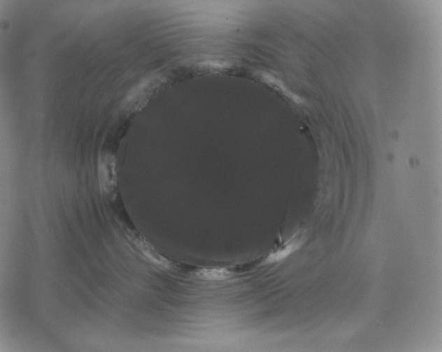 X0000071900528200607281806