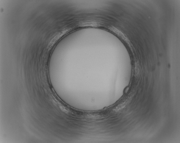 X0000071900529200607281805