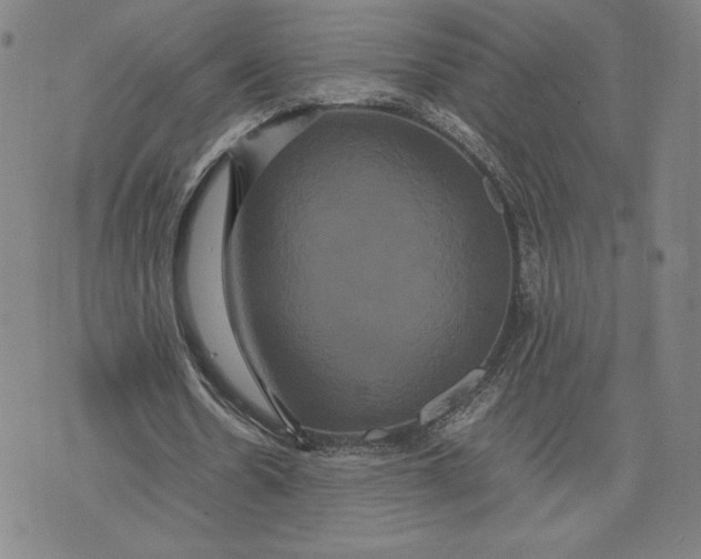 X0000071900530200607281806