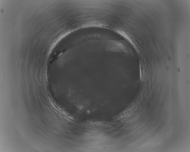 X0000071900531200607281806