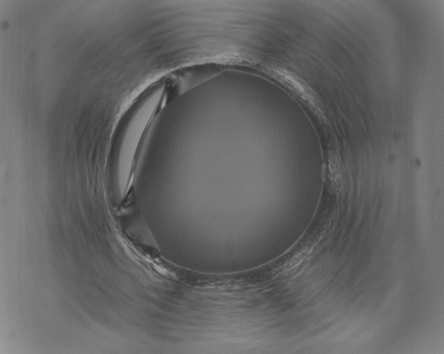 X0000071900532200607281806