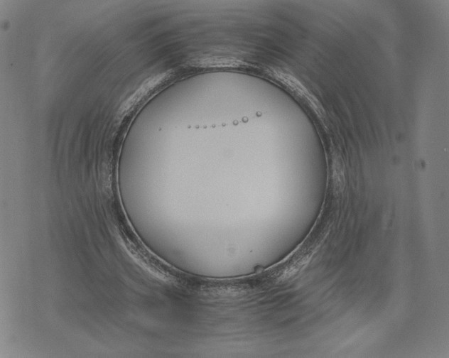 X0000071900533200607281806