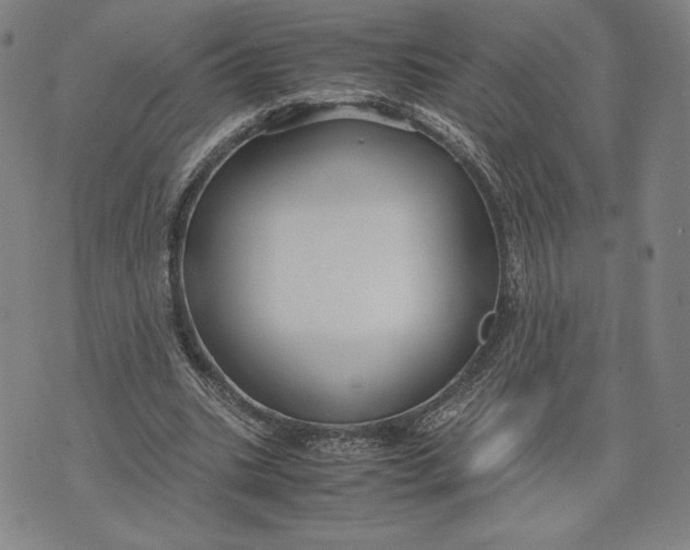 X0000071900535200607281806