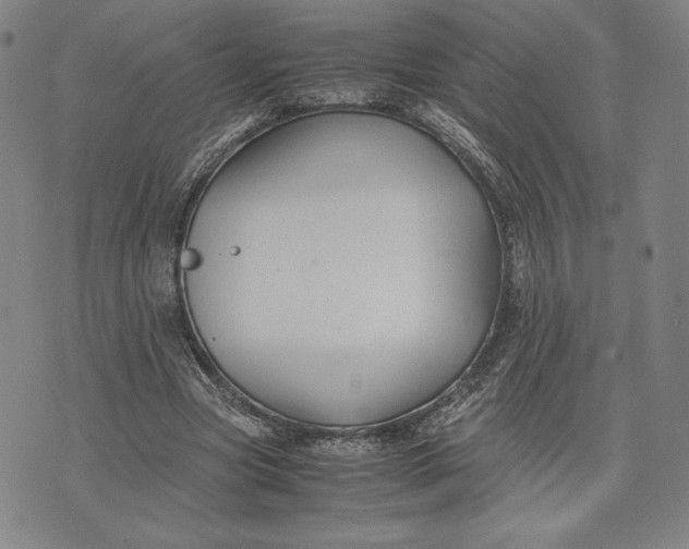 X0000071900537200607281806