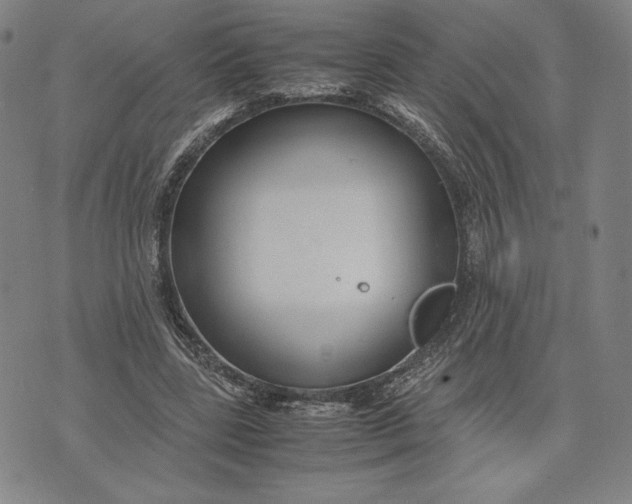 X0000071900539200607281806