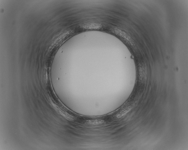 X0000071900541200607281806