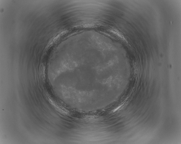 X0000071900542200607281806