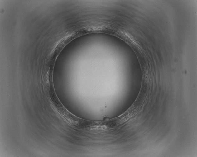 X0000071900543200607281806