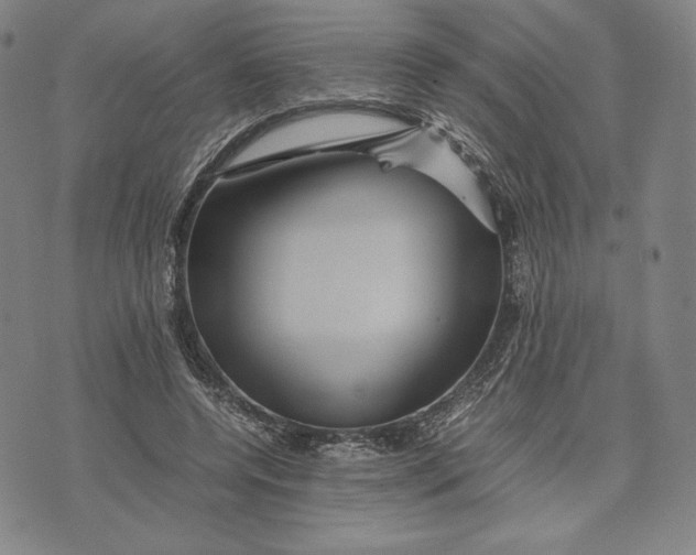 X0000071900544200607281806