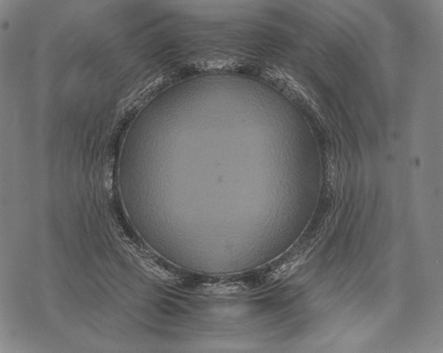 X0000071900545200607281806