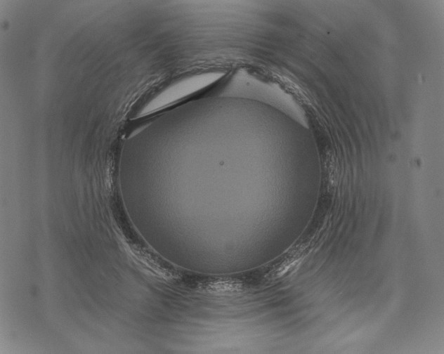 X0000071900546200607281806