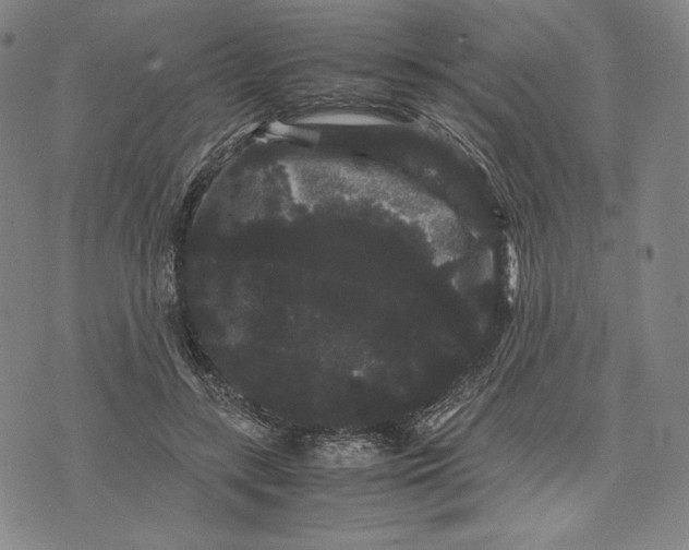 X0000071900547200607281806