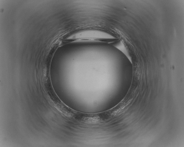 X0000071900548200607281806