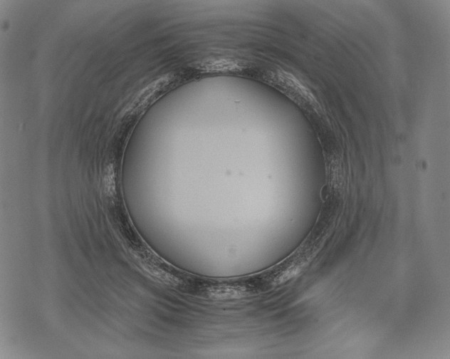 X0000071900549200607281806