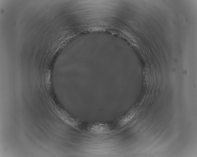 X0000071900550200607281806