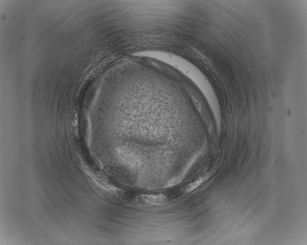 X0000071900552200607281806