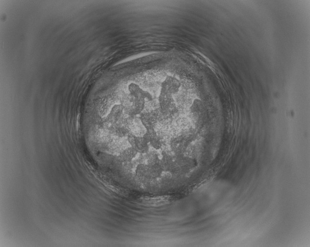 X0000071900553200607281806