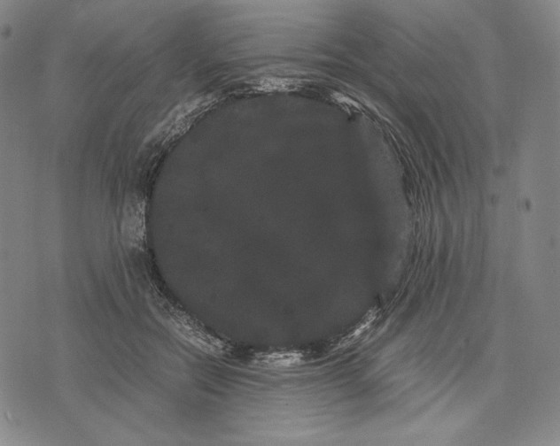 X0000071900554200607281806