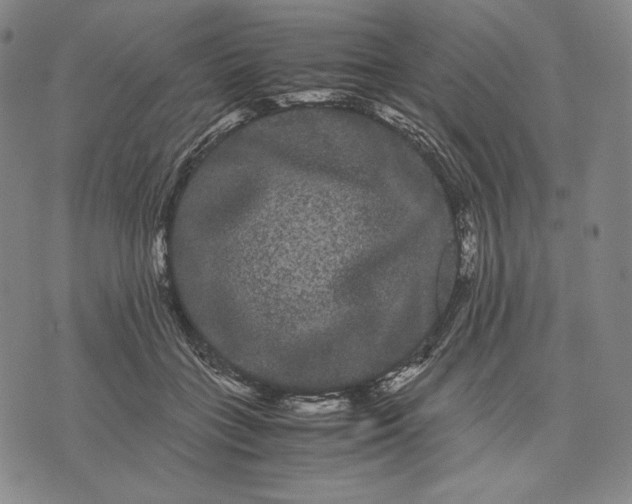 X0000071900555200607281806