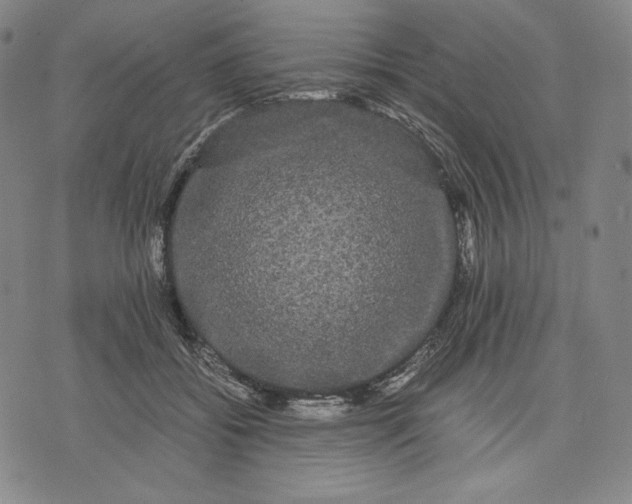 X0000071900556200607281806