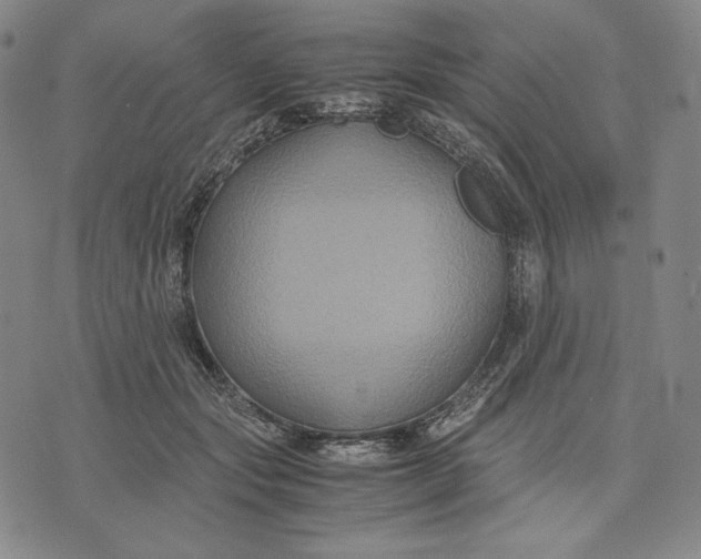 X0000071900557200607281806