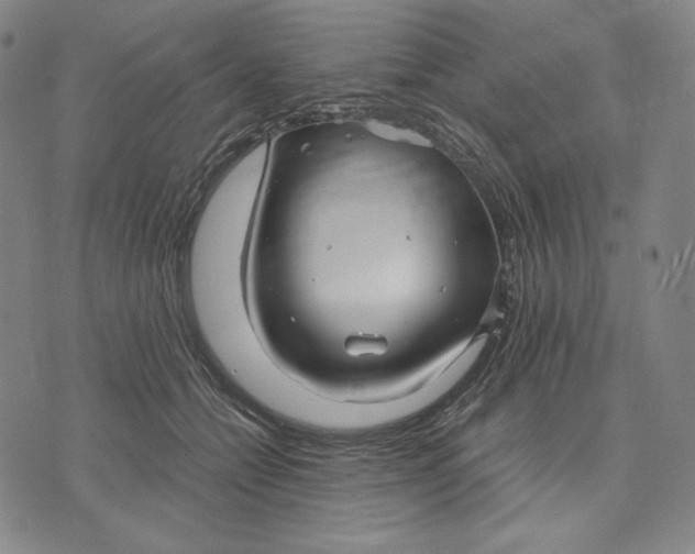 X0000071900558200607281806