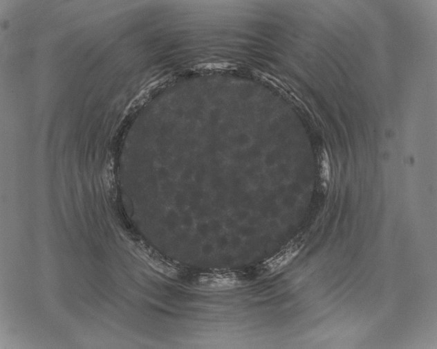 X0000071900559200607281806