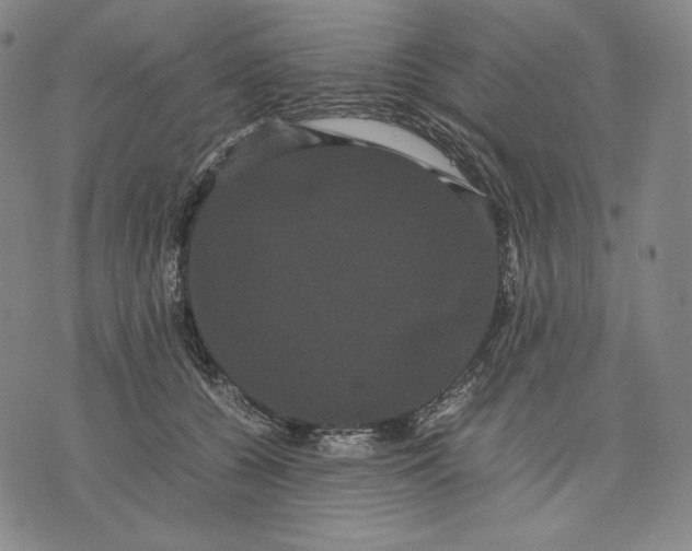 X0000071900560200607281806