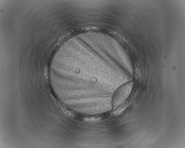 X0000071900561200607281806