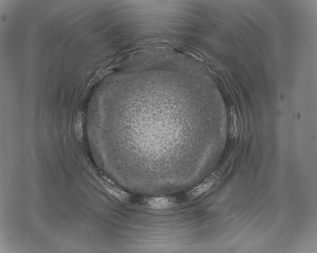 X0000071900562200607281806