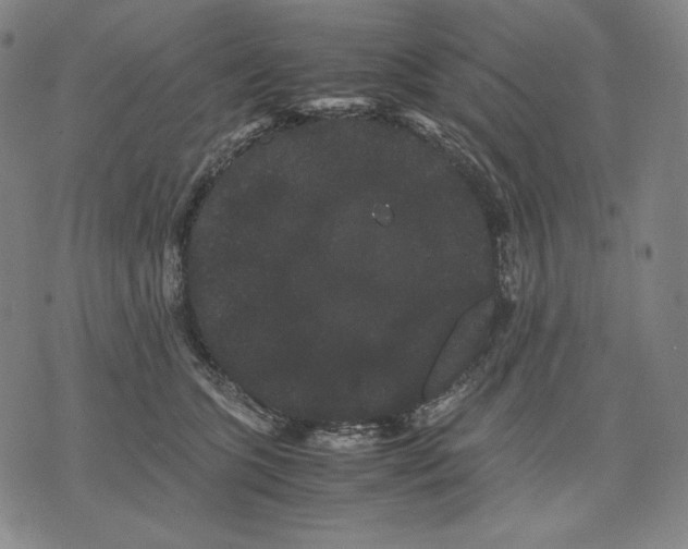 X0000071900563200607281806