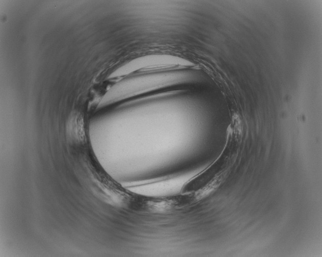 X0000071900564200607281806