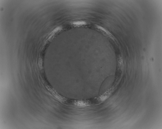 X0000071900565200607281806