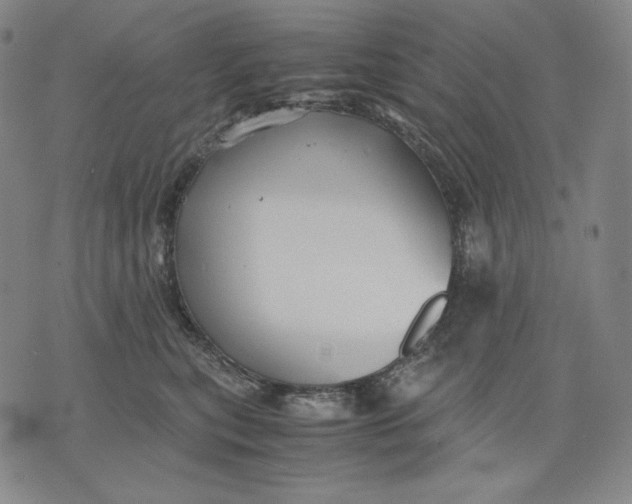 X0000071900567200607281806