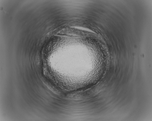 X0000071900568200607281806