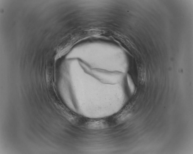 X0000071900569200607281806