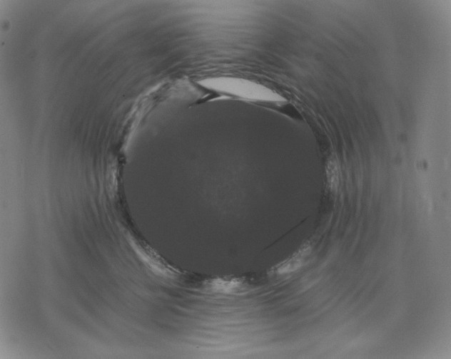 X0000071900570200607281806