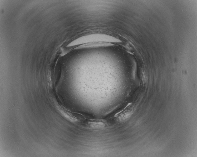 X0000071900572200607281806