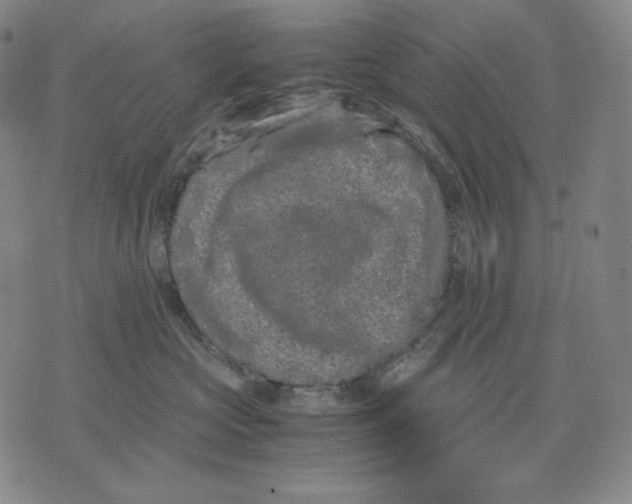 X0000071900573200607281806