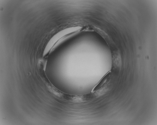 X0000071900574200607281806