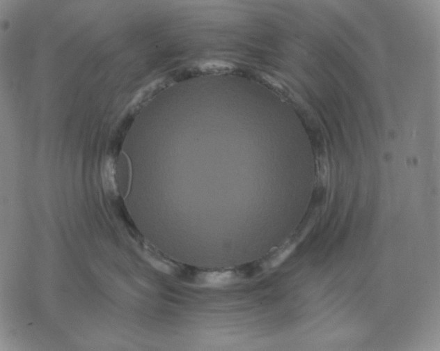 X0000071900575200607281806