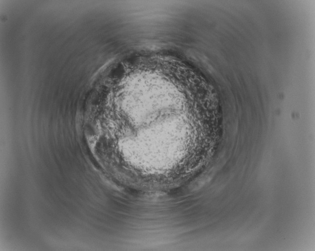 X0000071900576200607281806