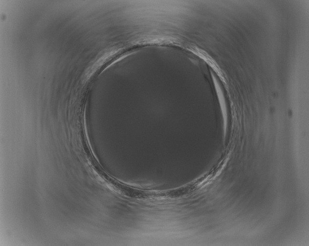 X0000071900577200607281805