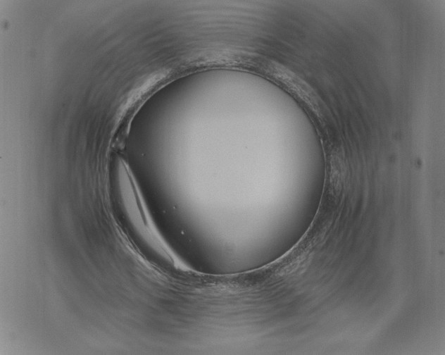 X0000071900578200607281805